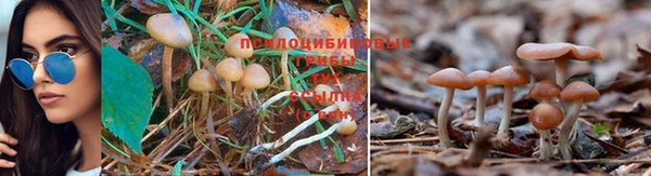 меф Алексеевка