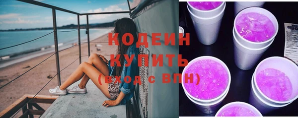 индика Абаза