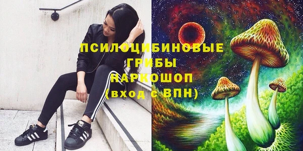 индика Абаза