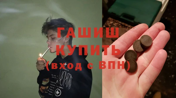индика Абаза