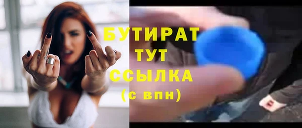 индика Абаза