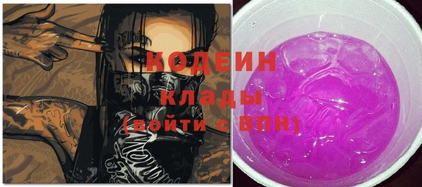 индика Абаза
