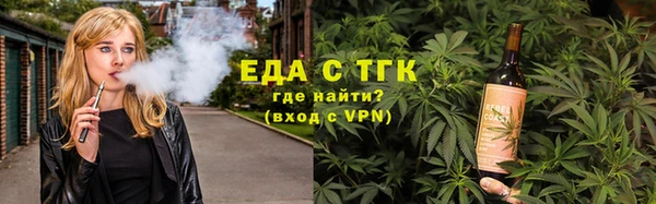 индика Абаза