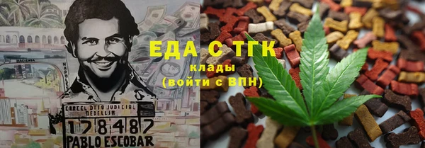 индика Абаза