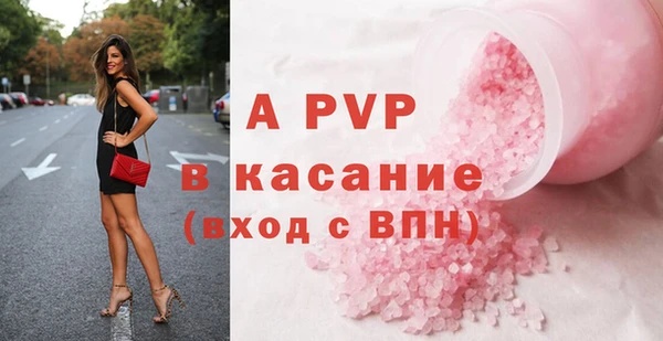 индика Абаза